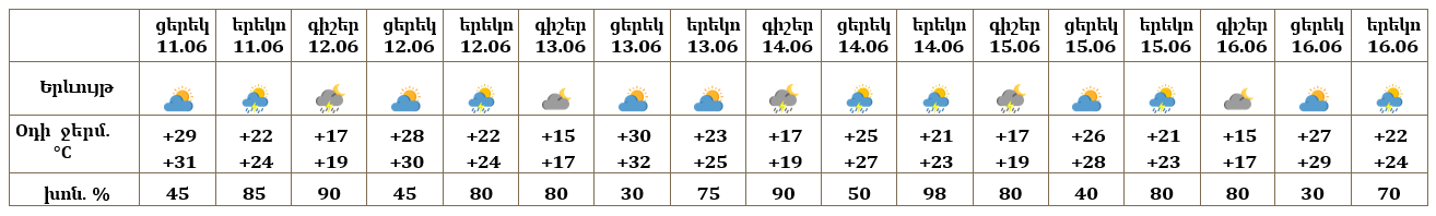 Երևան 11.06